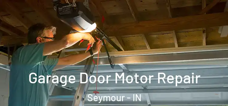  Garage Door Motor Repair Seymour - IN