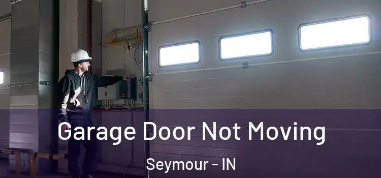  Garage Door Not Moving Seymour - IN