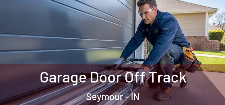  Garage Door Off Track Seymour - IN
