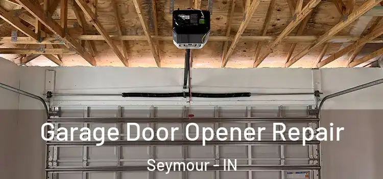  Garage Door Opener Repair Seymour - IN