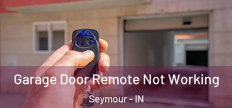  Garage Door Remote Not Working Seymour - IN