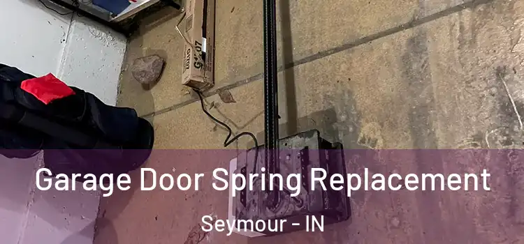  Garage Door Spring Replacement Seymour - IN