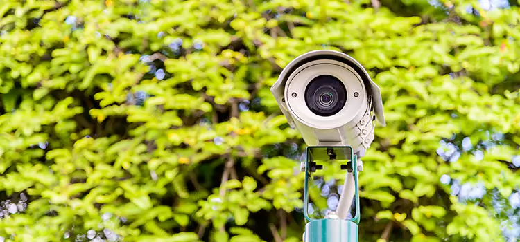 Advanced Surveillance Solutions for Every Need in Seymour