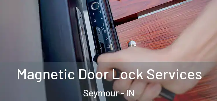  Magnetic Door Lock Services Seymour - IN