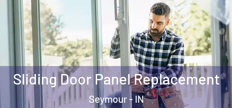  Sliding Door Panel Replacement Seymour - IN